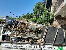 Best Residential Junk Removal  in Oelwein, IA