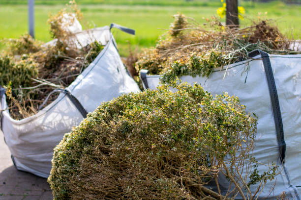 Best Demolition Debris Removal  in Oelwein, IA